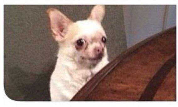 la cara de Manuel desde que Anita le ha dicho que había decidido irse con él #LaIslaDeLasTentaciones15