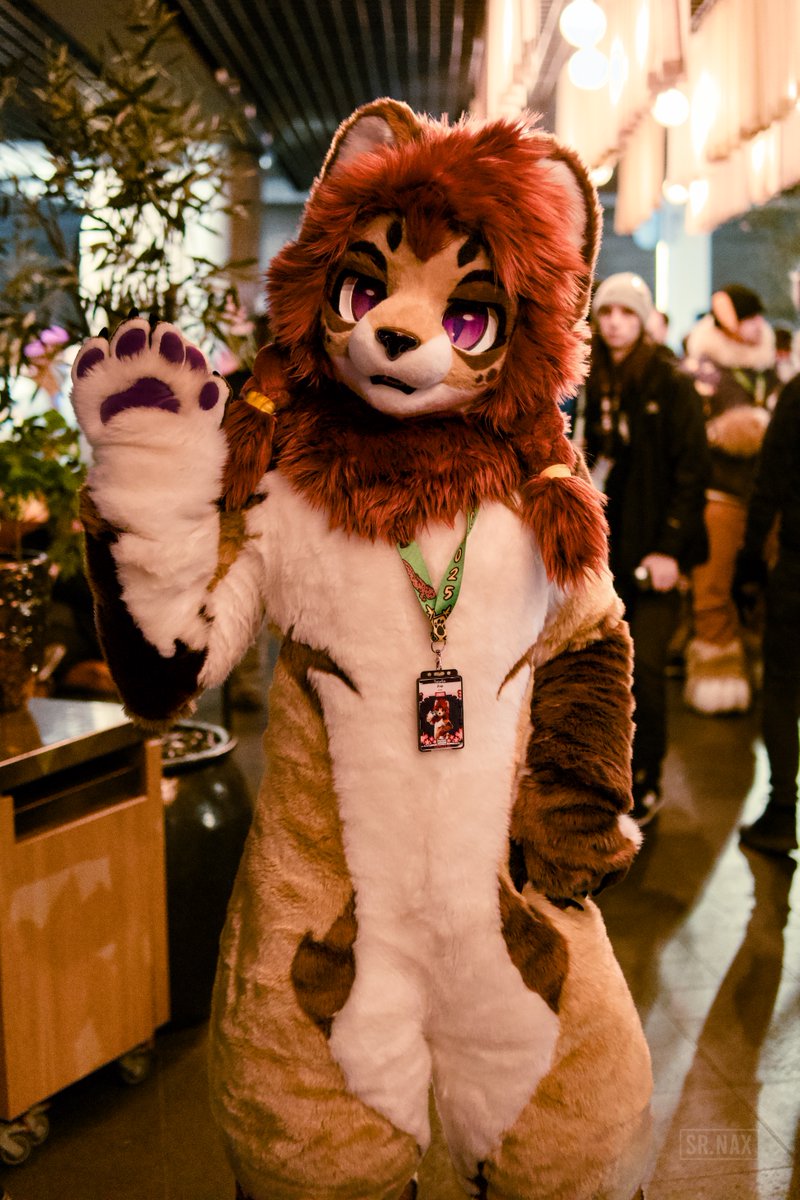 A magestic lion! <a href="/ZapRedfield/">Zap</a> at #NFC2025