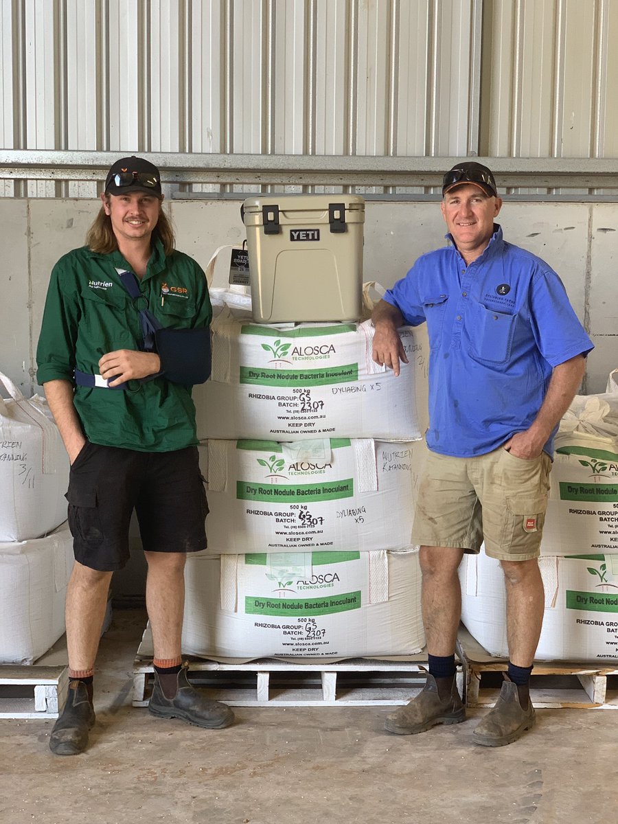 Out and about in Katanning to present ALOSCA early order winner Tim Clegg with his YETI cooler. With vetches being planted soon ensure you have ALOSCA Group E granules on hand, the only inoculant suitable for dry seeding!
#ALOSCA #vetch #legumes
