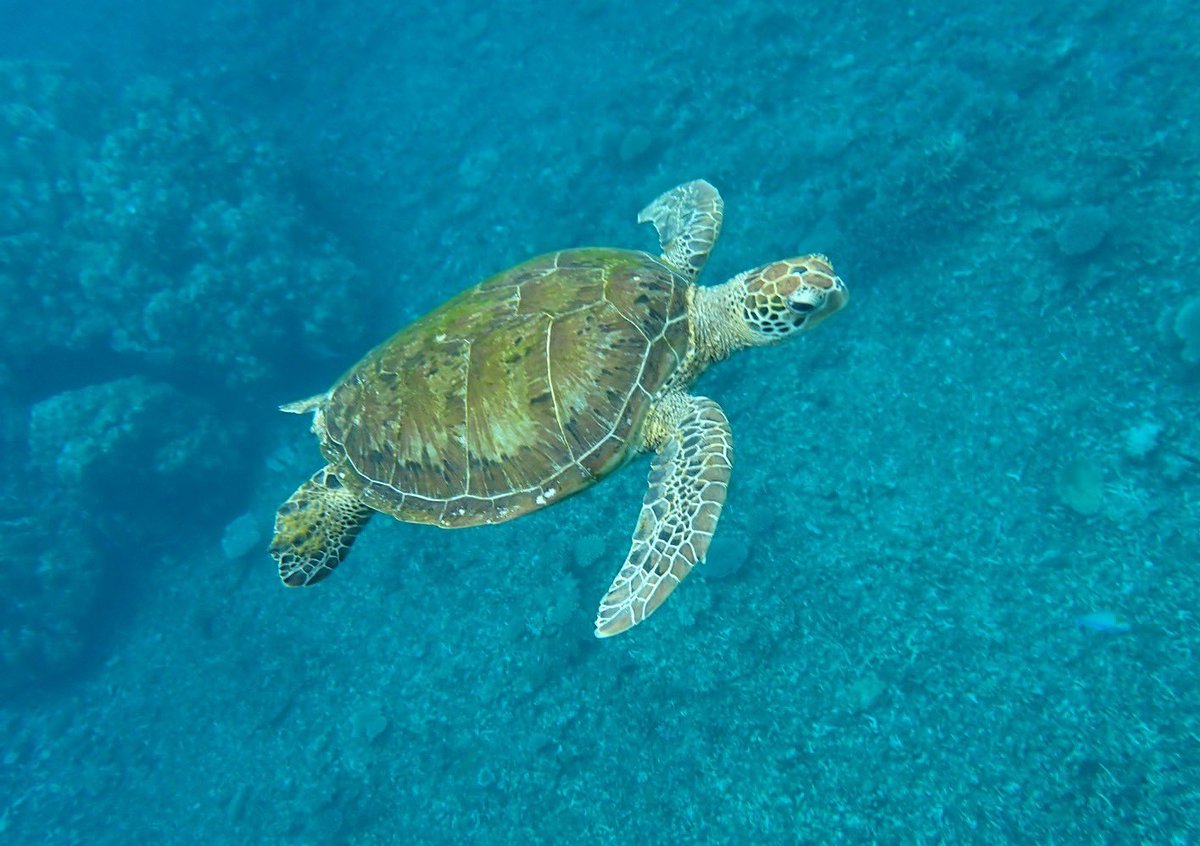 旅たのしかったー！🏝