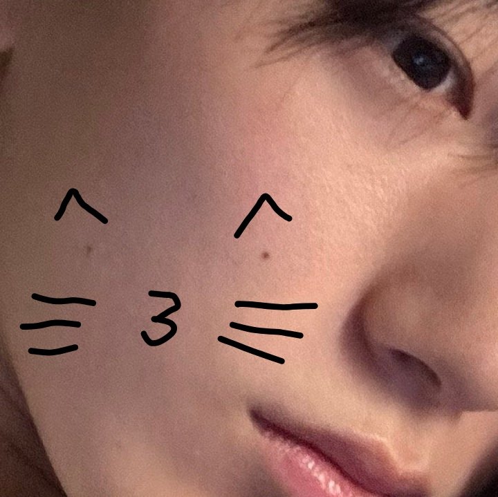 lina (@catsani) on Twitter photo 