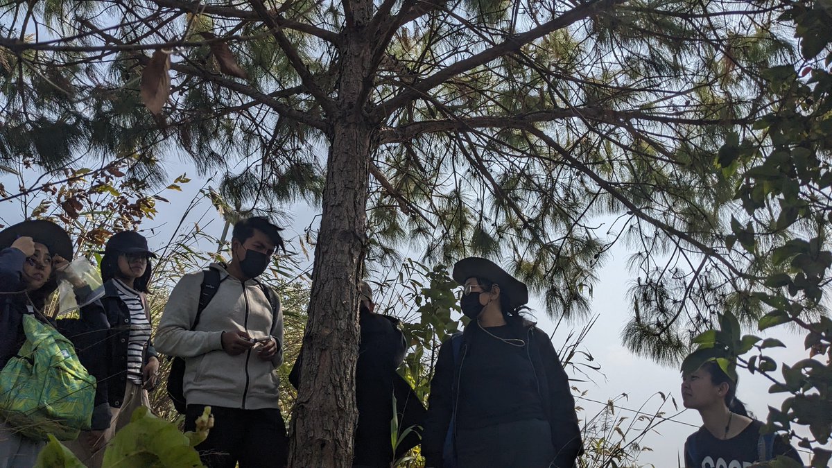 Lab_CGIFT's tweet image. While the team was at work!
#ForestGenetics
#Forestry
#Manipur
@MU_Forestry