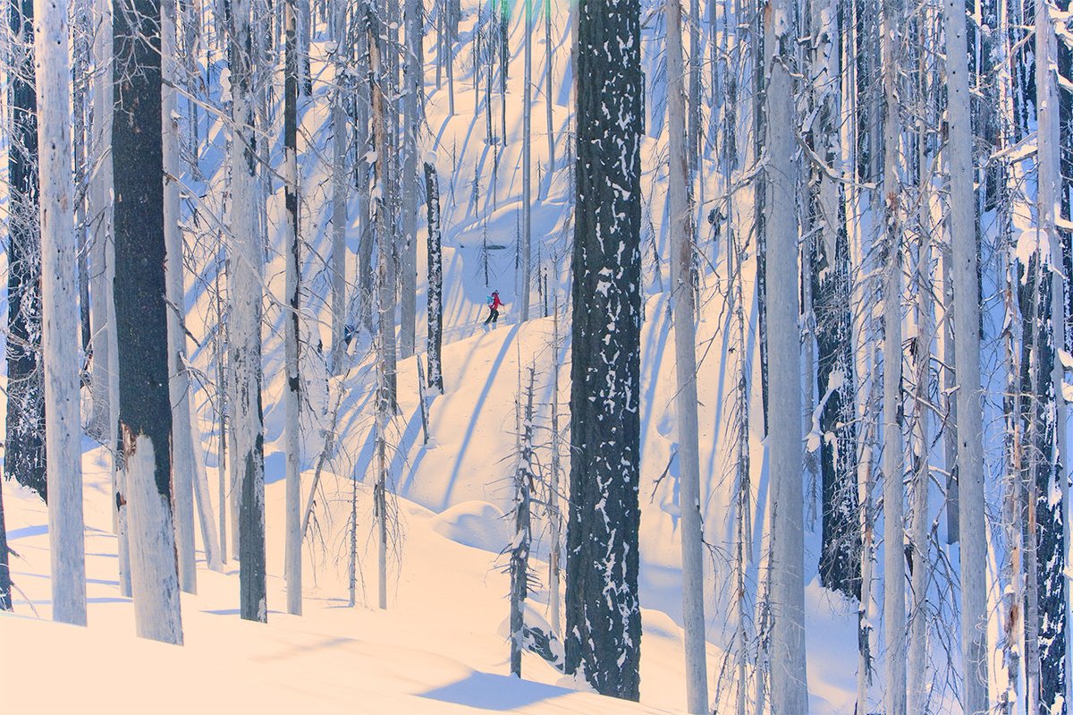 PHOTO: winter playground.