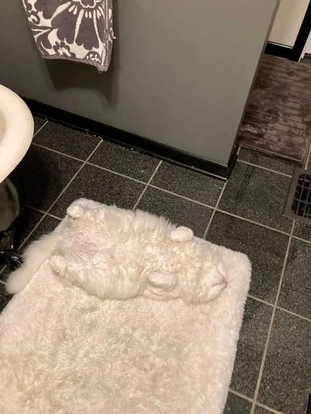 new rule: bathroom light stays on.