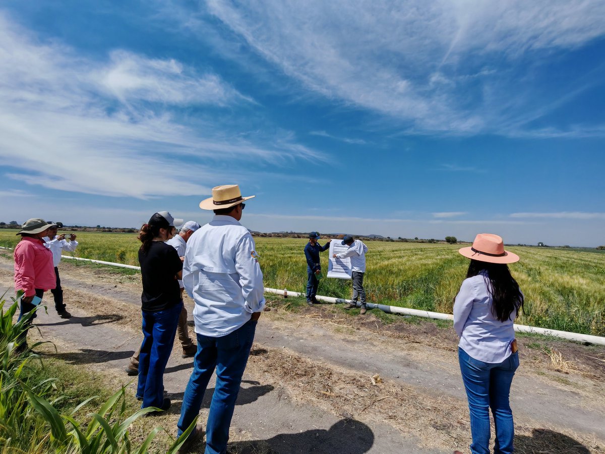 Paúl García Meza tweet media