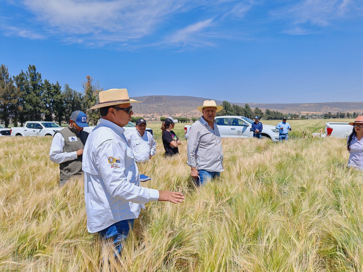 Paúl García Meza tweet media