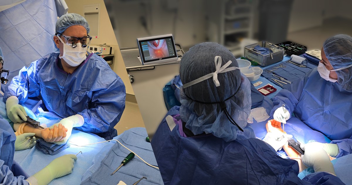 Mark Vitale, MD tweet media