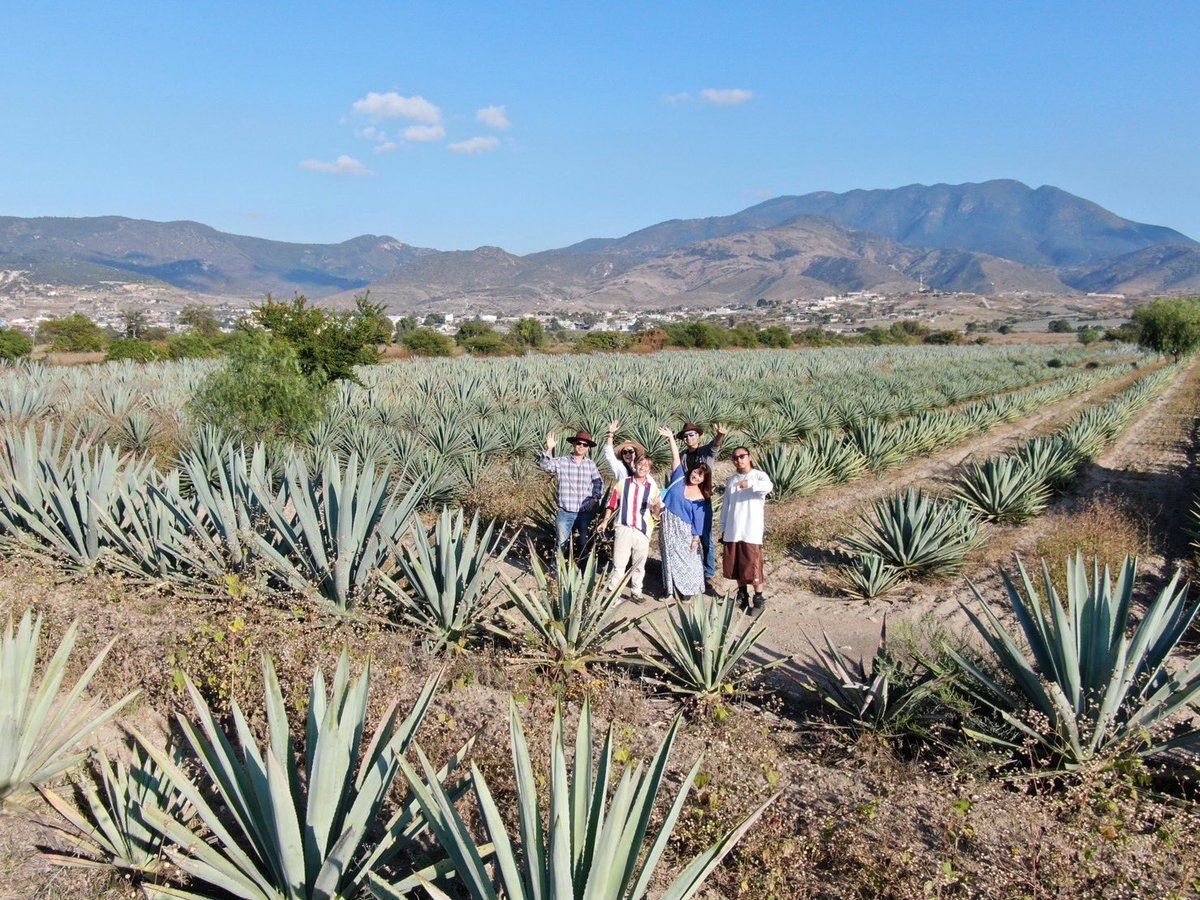 コロナ以降、新しいブランドの輸入のためのアテンドでメキシコに連れて行っていただく機会が増えて嬉しい！
航空券が高くなり😭自分で何度も行くのは厳しいけど、今まで自腹で毎年無理してでも通っていたのが、仕事に繋がって来た気がする。
今年も相談がいくつか…
メキシコに早く行きたい^_^