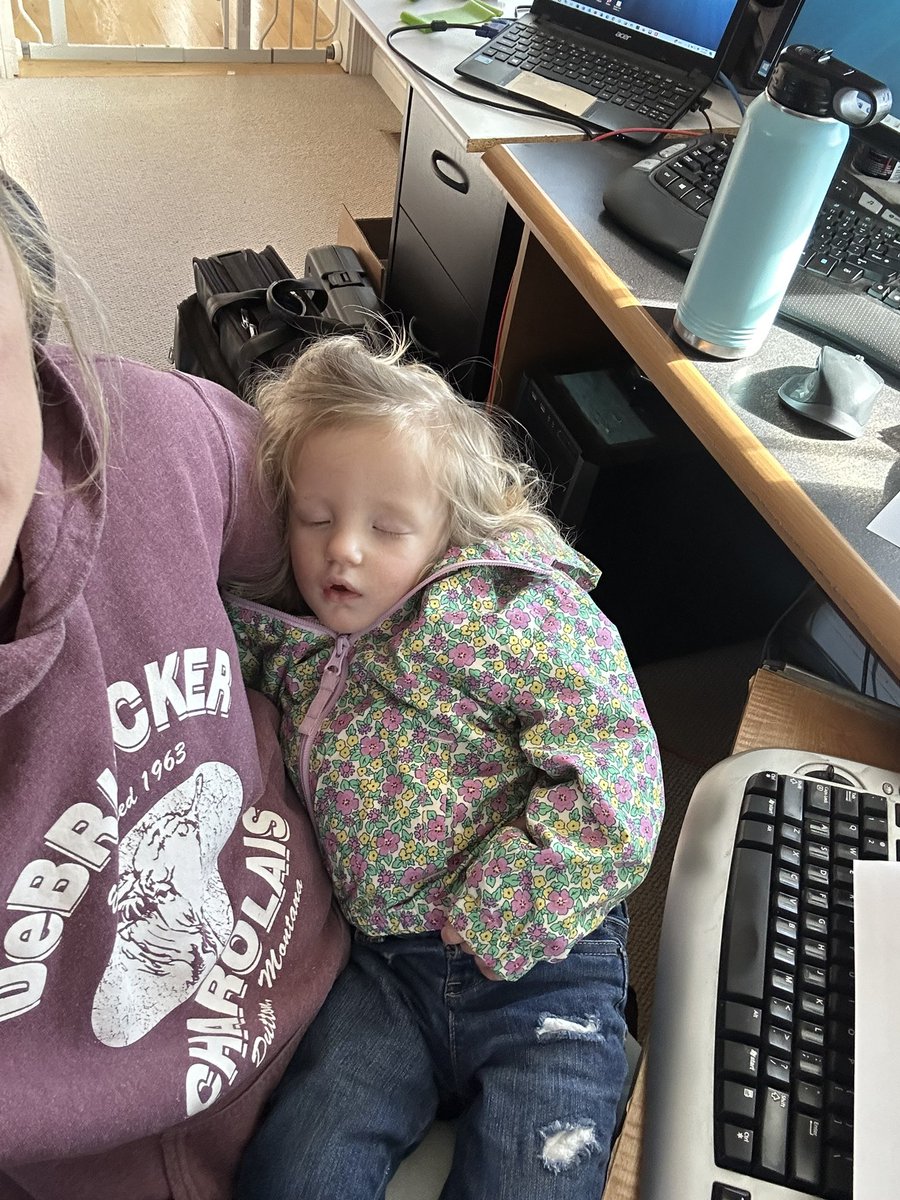 DeBruycker2's tweet photo. Caught our youngest bookkeeper sleeping on the job. Not everyone can hack the sale prep like Jaq!
.
.
#debruyckercharolais #charolais #cattle #cutekids #ranchkids #bookwork https://t.co/6cdHG7sRKZ