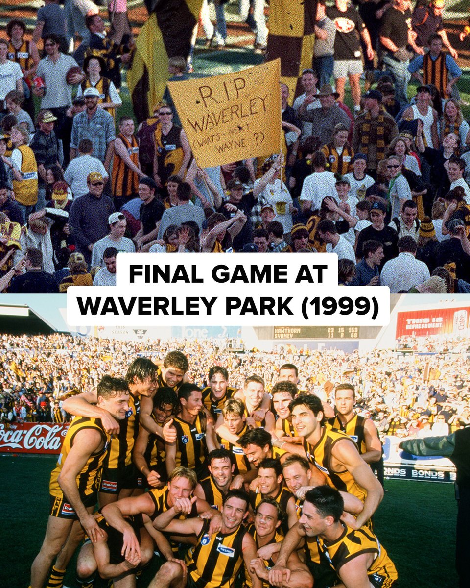 Hawthorn FC tweet media