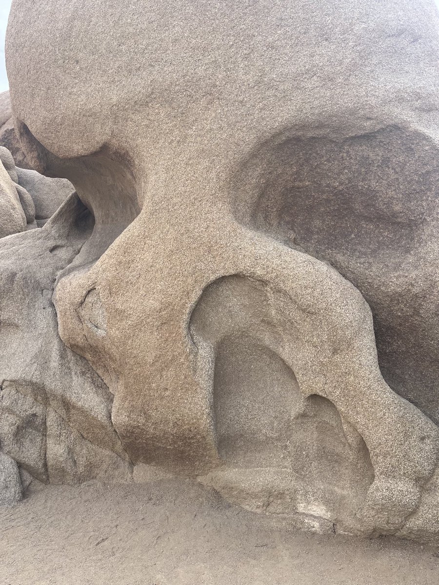 Taking a few days off to catch my breath. Thank you to the park rangers @ Joshua Tree National Park for creating opportunities to preserve and connect with nature! We ⁦<a href="/asupublicsvc/">Watts College of Pub Svc</a>⁩ and ⁦<a href="/ASUCommunities/">ASU School of CR&D</a>⁩ applaud your public service! ⁦⁦