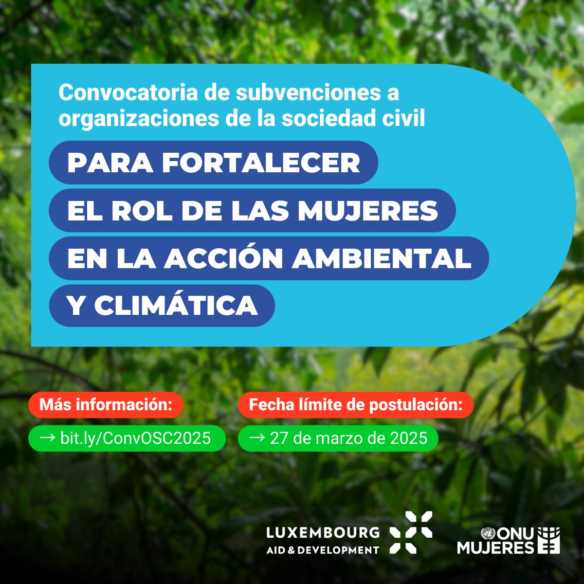 📢 Convocatoria de subvenciones para OSC 📢

💡 Fortalecimiento de organizaciones de la sociedad civil en acción ambiental y climática. 

<a href="/ONUMujeres/">ONU Mujeres</a>  con el apoyo del Gran Ducado de Luxemburgo, invita a participar en este primer llamado.

🔹 Fecha límite de postulación: 27
