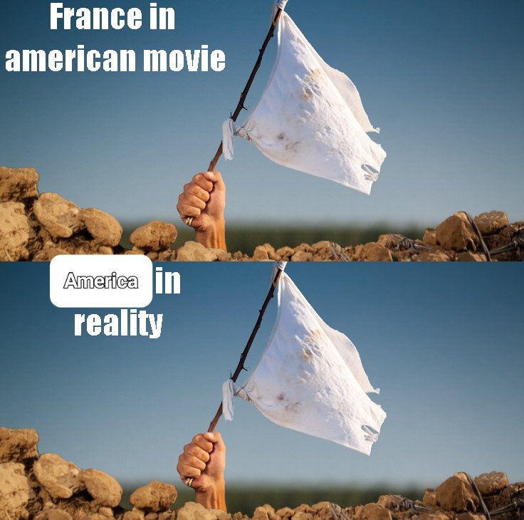 Thomas van Linge tweet media