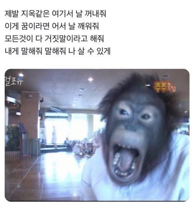 cucumber_hater's tweet photo. https://t.co/gJxme8t75J