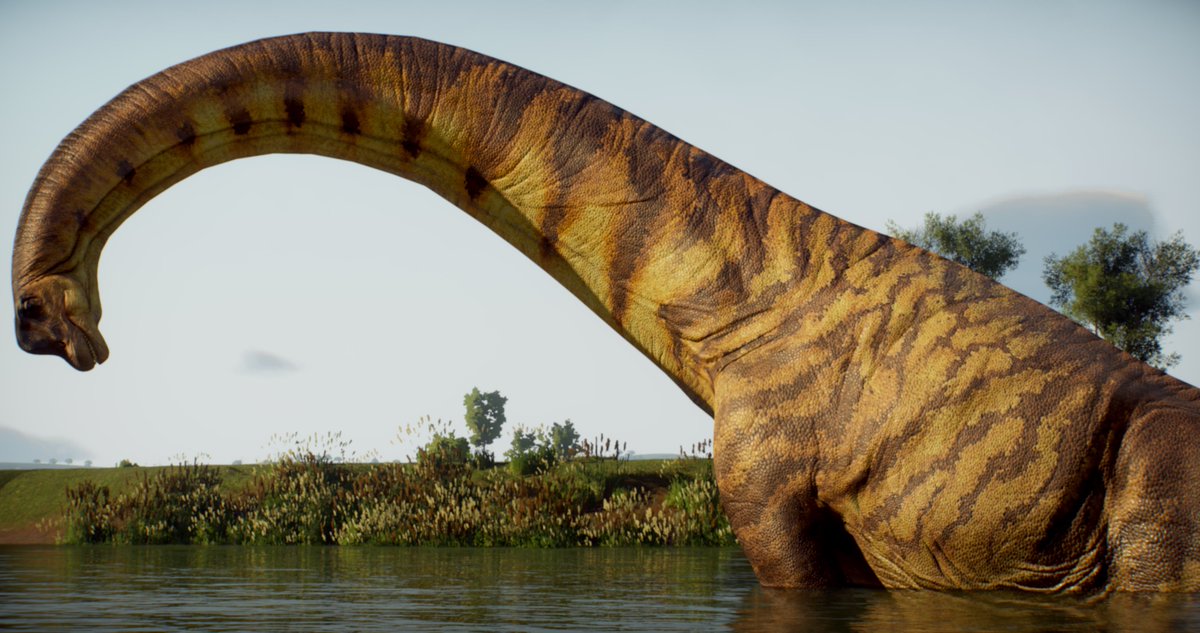 sitebmedia's tweet photo. It’s a @PrehistoricK night. https://t.co/fH68DeBwfo