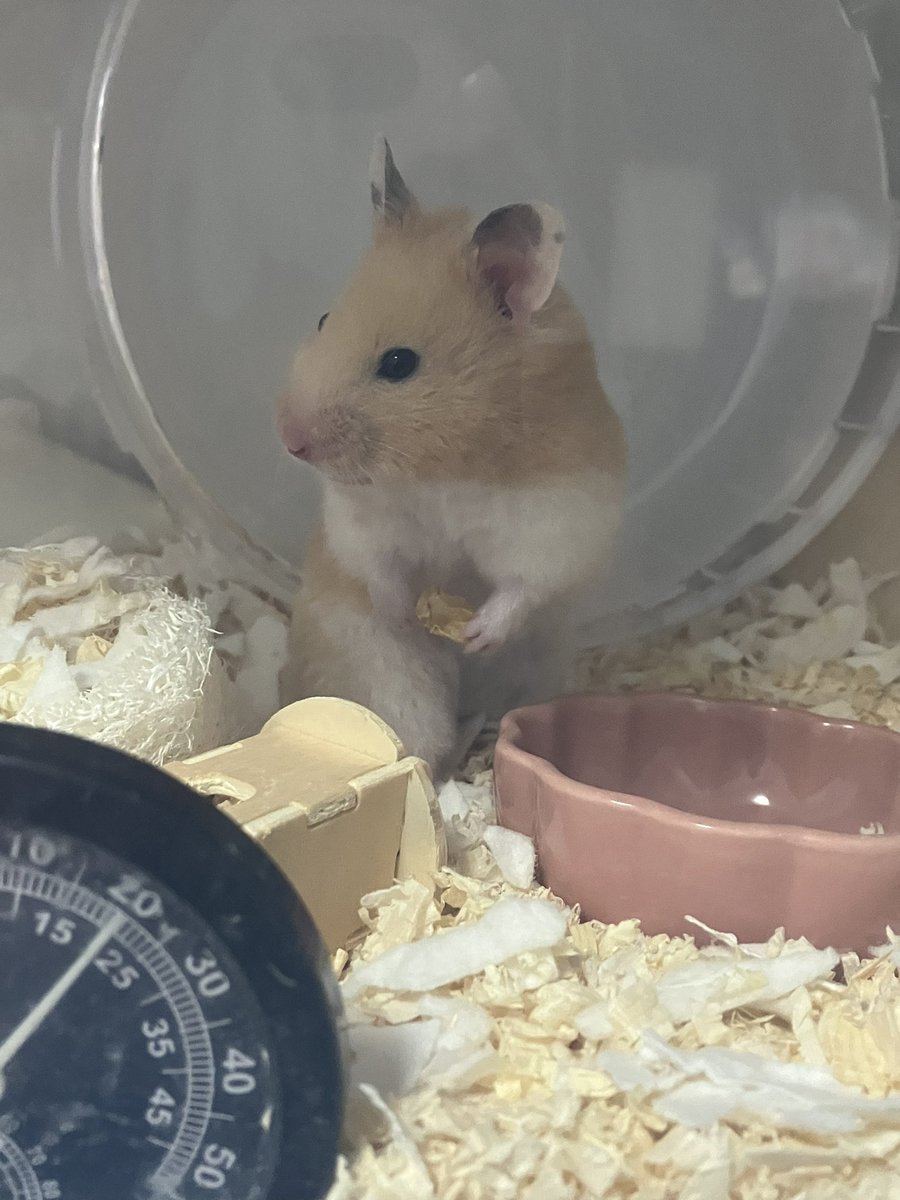 なにもってるの〜？