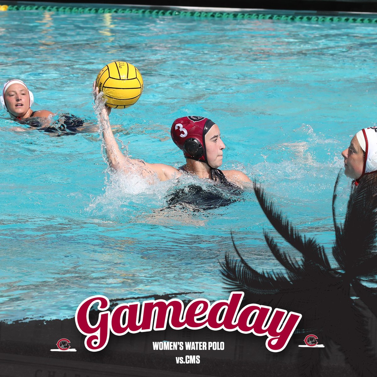 Chapman Athletics (@chapmansports) on Twitter photo Game day back home for women's water polo against CMS! 
#PawsUp #GameDay Game day back home for women's water polo against CMS! 
#PawsUp #GameDay