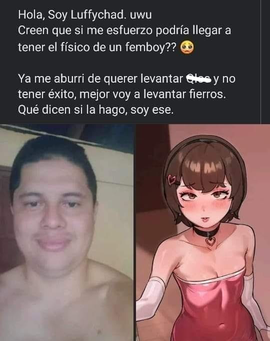 Otakus del Día a Día tweet media