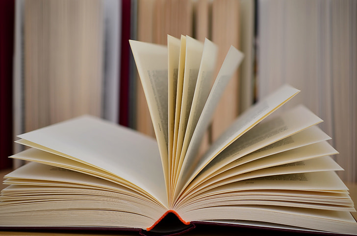 PlenitudeMag's tweet image. Plenitude is hiring!
Ever wanted to work for a literary magazine? Now's your chance!
We're currently seeking permanent, part-time editors for two positions: Associate Poetry Editor, and Associate Prose Editor.
All details can be found on our website:
plenitudemagazine.ca/were-hiring-fo…