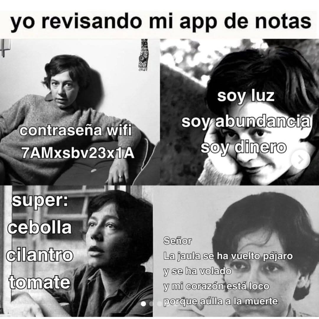 vampiro emocional tweet media