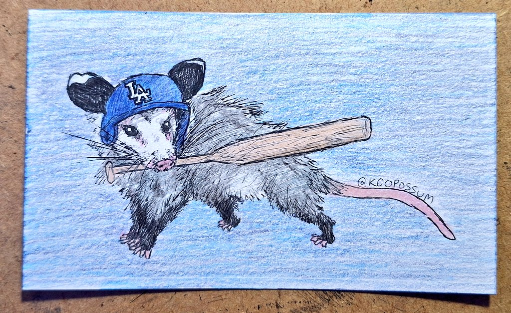 KC Opossum tweet media