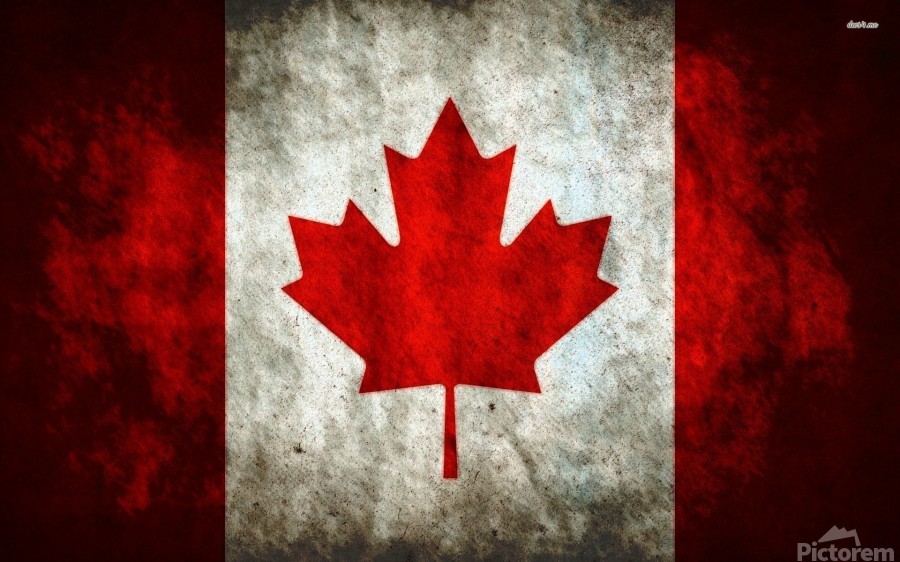 Canadian Prime Minister Mark McKinney tweet media