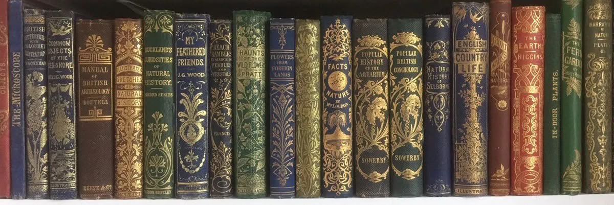 jujsstrying's tweet image. ★ .˚ júlia (jujs)
         ↳ 1° ano E.M
— vestibulanda de medicina
— foco: ENEM e paulistas
ಌ - filmes, livros e música