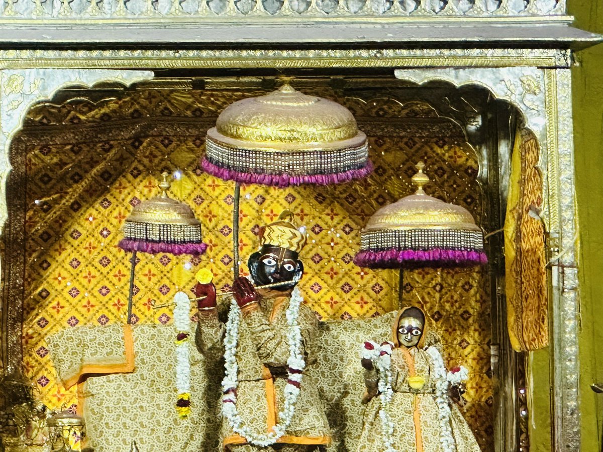 jairajputana89's tweet image. Jaipur is truly blessed . There is a reason ot is called “Choti kaashi”. Early morning mangala darshan of three bhagwan Krishna temples .
#GovindDevji
#Brijnidhiji
#AnanadBihariji