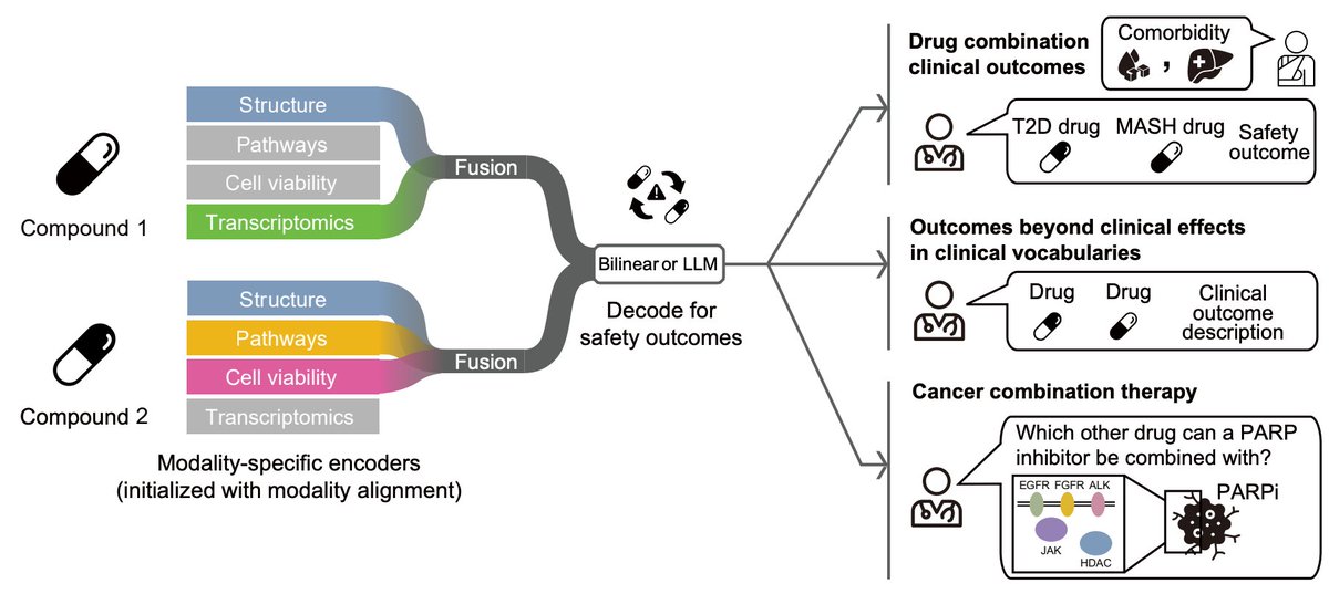 Predicting clinical outcomes of drug combinations from preclinical data is a major challenge <a href="/YepHuang/">Yepeng</a> 

We know a drug works in the lab. But will it work in patients? 🔬 ➡️ 🏥 

This is key for safe and effective therapies and it's one of the hardest challenges in medicine.