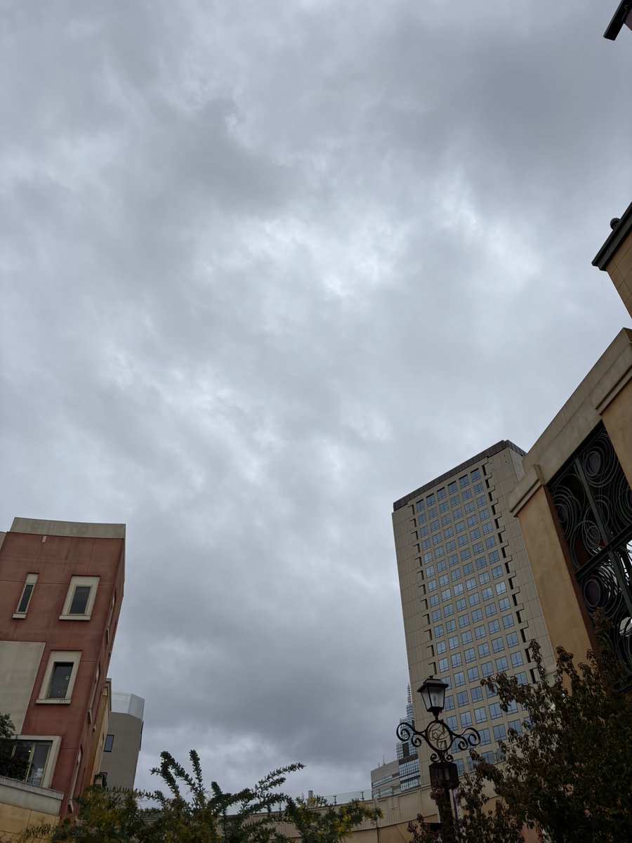 おはようございます😊

今日の川崎市の天気は、曇り☁️

月曜日から水曜日まで雨が降っていましたが、今日は降らないようで良かったです😌

今日も一日頑張っていきましょう🫡

#企業公式が毎朝地元の天気を言い合う
#企業公式相互フォロー
#企業公式冬のフォロー祭り
#就労移行 #就労継続支援B型 #川崎