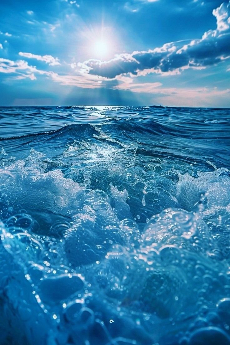 Aesthetics (@aestheticspost_) on Twitter photo 