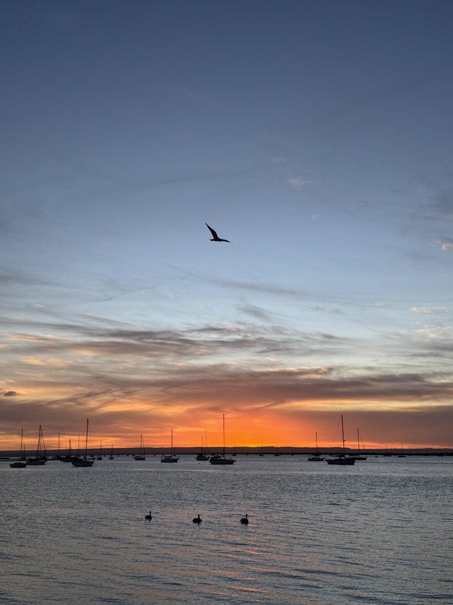 Merlin_wawa's tweet photo. Tardecitas en la bahía 🌅 https://t.co/XzQGOr0Rsf