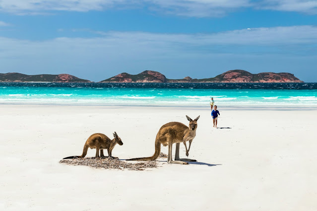 WorldJd0409's tweet photo. Why study in Perth for a better shot at Australian PR? Check out this blog for the perks international students get in Perth!: https://t.co/HOwstvsAkM

#studyinaustralia #perthstudy #AustralianPR #internationalstudents #StudyAbroad #studentlife #australianpermanetresidency https://t.co/5QEw2B9I4u