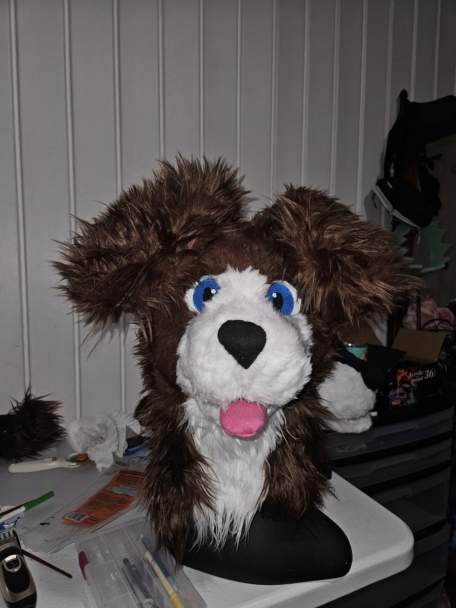 Hats the puppy is ready to goto his new home.   Everyone welcome him