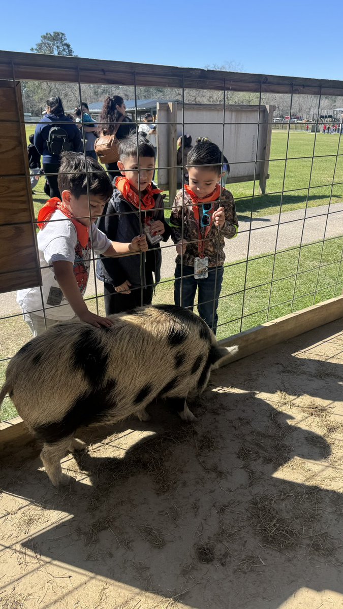 Santa Fe Elementary, CISD tweet media