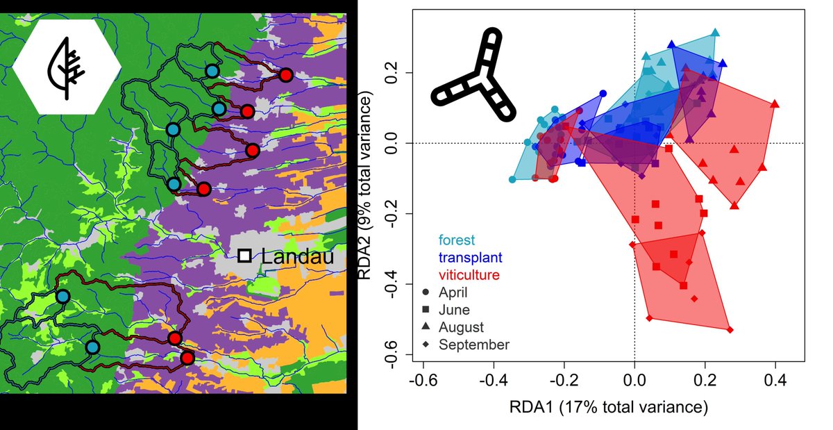 Timing Matters: Viticultural Land Use Determines Responses in Structure and Function of Fungal Stream Communities Across One Growing Season 

📄 buff.ly/yGJYeJr