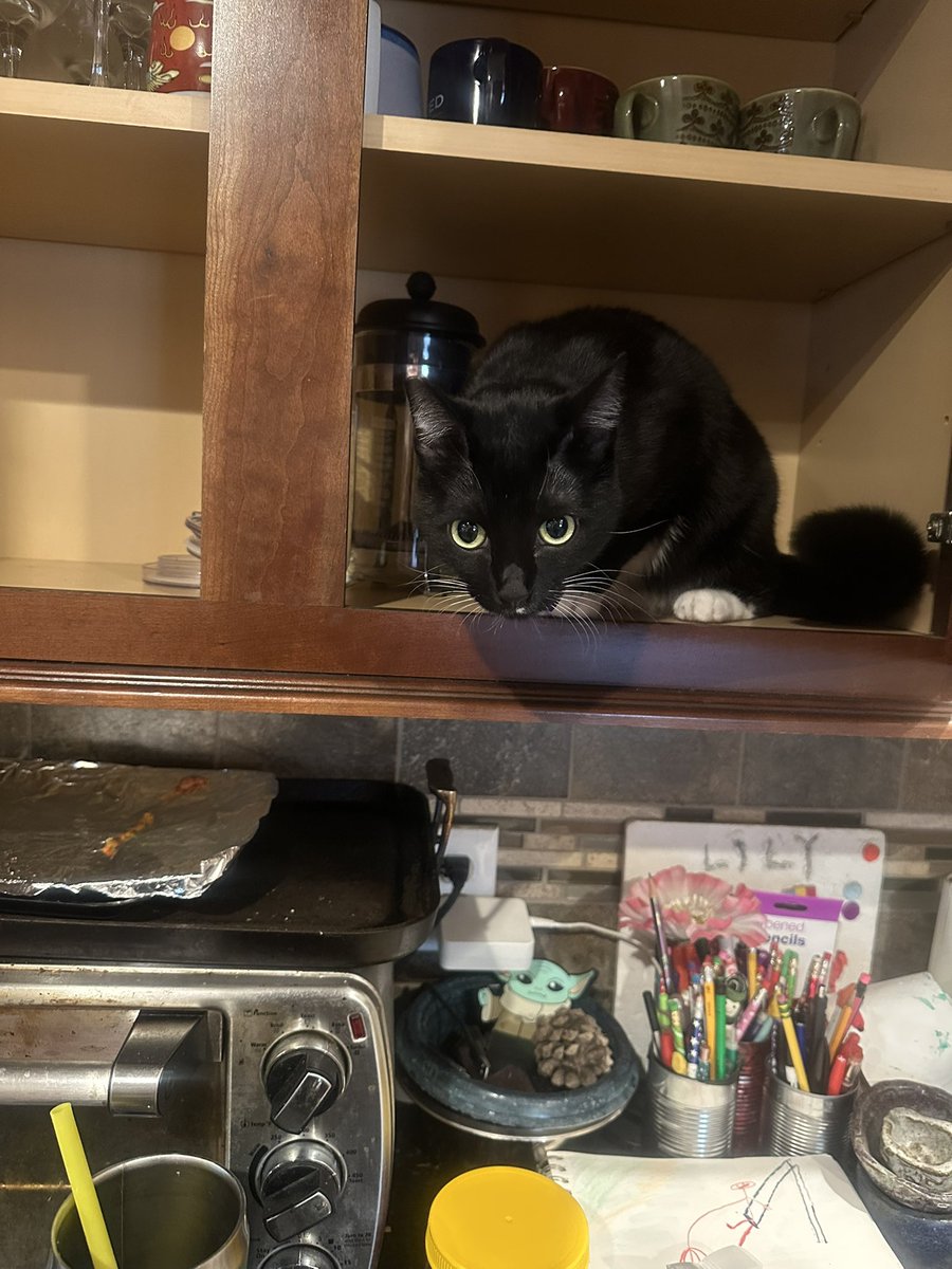 Danny Deraney tweet media