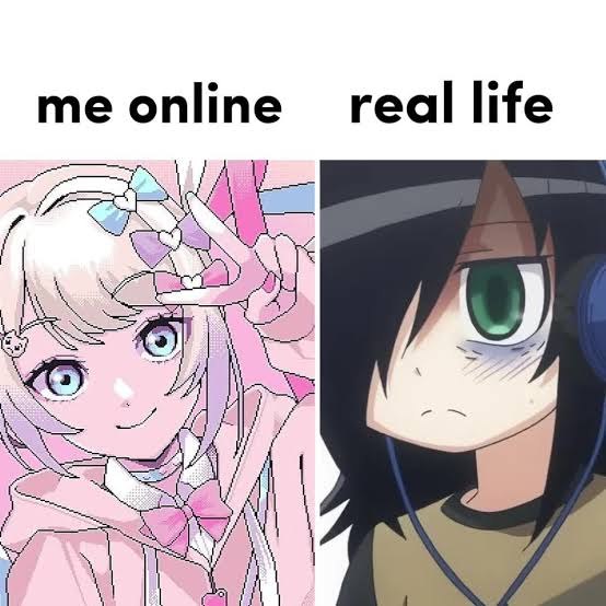 Toko_Daily's tweet image. 