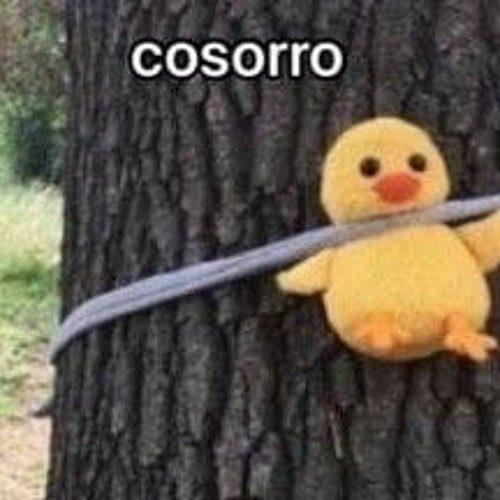 soylailsi's tweet image. DONDE PUEDO VER LA ISLA DE LAS TENTACIONES GRATISSS!!!? quiero ver el capitulo 15!!!😭 (que no sea telegram o tentaciones.top)