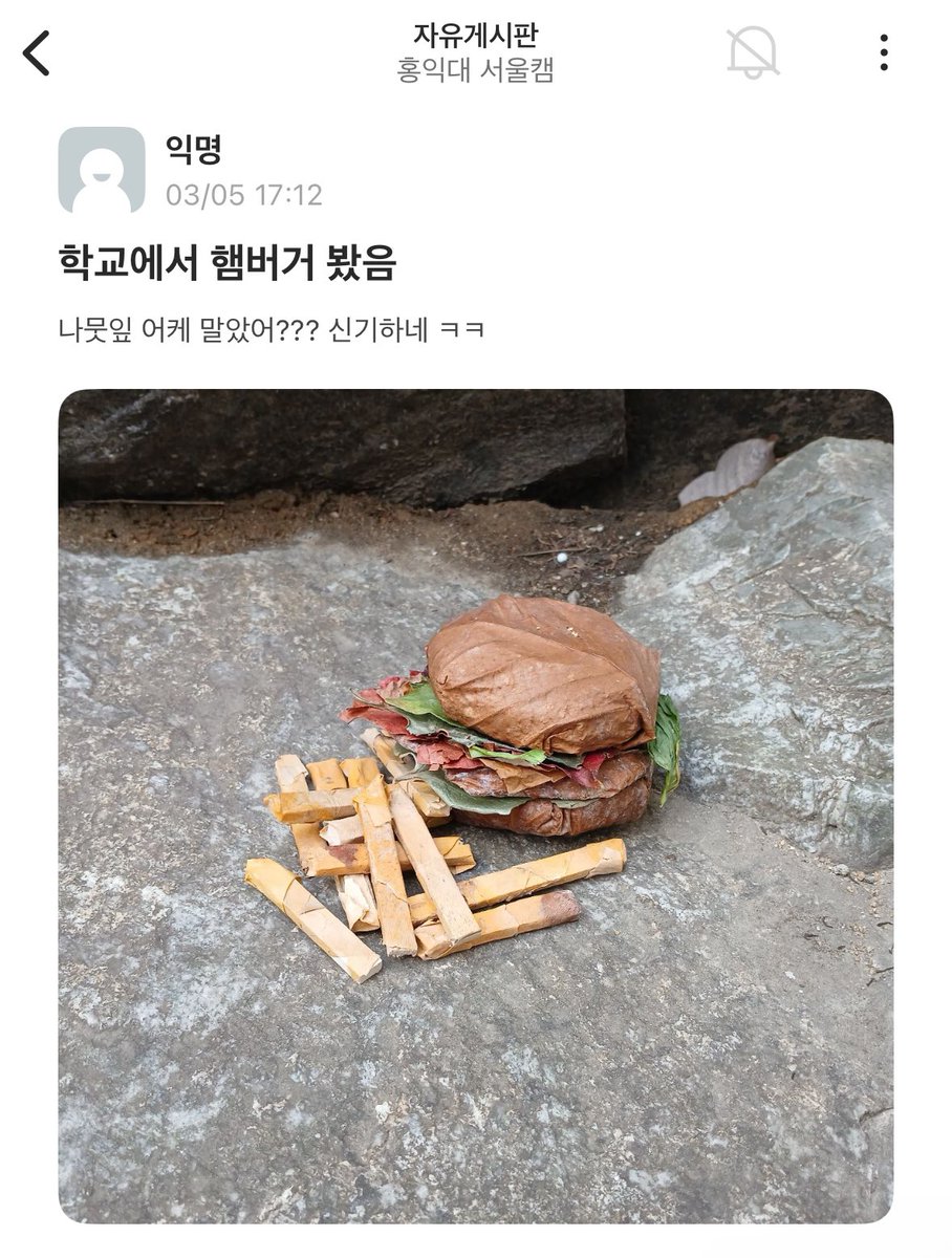 학교 에타에 올라온 나뭇잎 버거
감튀까지 디테일 미쳤삼 ㄷㄷ