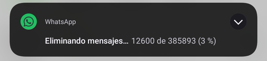 𝖑𝖆𝖚𝖚 🦈 tweet media