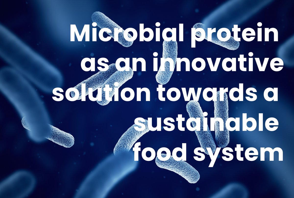 ShapingBio_eu's tweet image. Microbial protein holds great potential. By converting by-products into valuable proteins, it supports a circular bioeconomy. But challenges like complex regulations & investment needs must be addressed to fully realise its potential.
🔗shapingbio.eu/news/microbial…