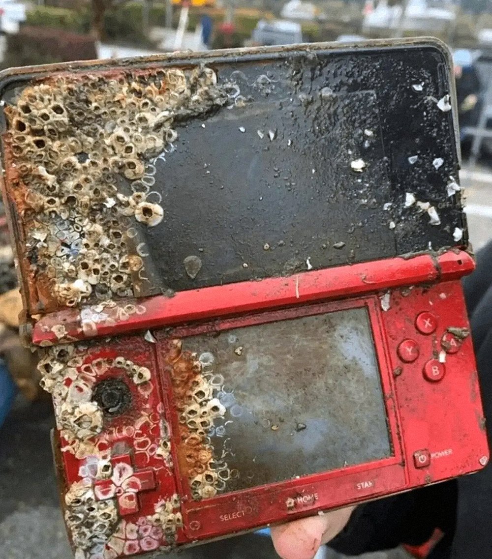 NEOMECHANICA (@neomechanica) on Twitter photo 