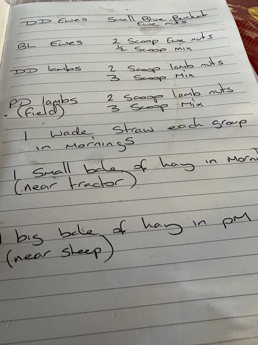 A morning in charge of woollies while the shepherd is sheeping in Ireland, another time when I remember why I’m not a sheeping influencer! So many buckets, so many instructions and I can’t remember how many scoops it is between looking at the list and filling the bucket.