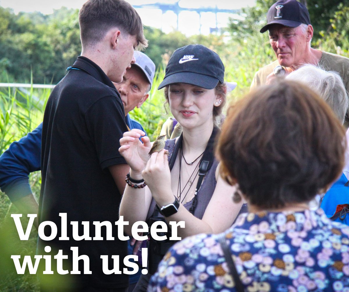 Our volunteers are wildlife heroes! 

Whether surveying species, helping with our events, working with us in our centres and so much more - the hours donated by our volunteers are vital for Suffolk's wildlife. 

You can help Suffolk's wildlife thrive too: suffolkwildlifetrust.org/volunteering-o…