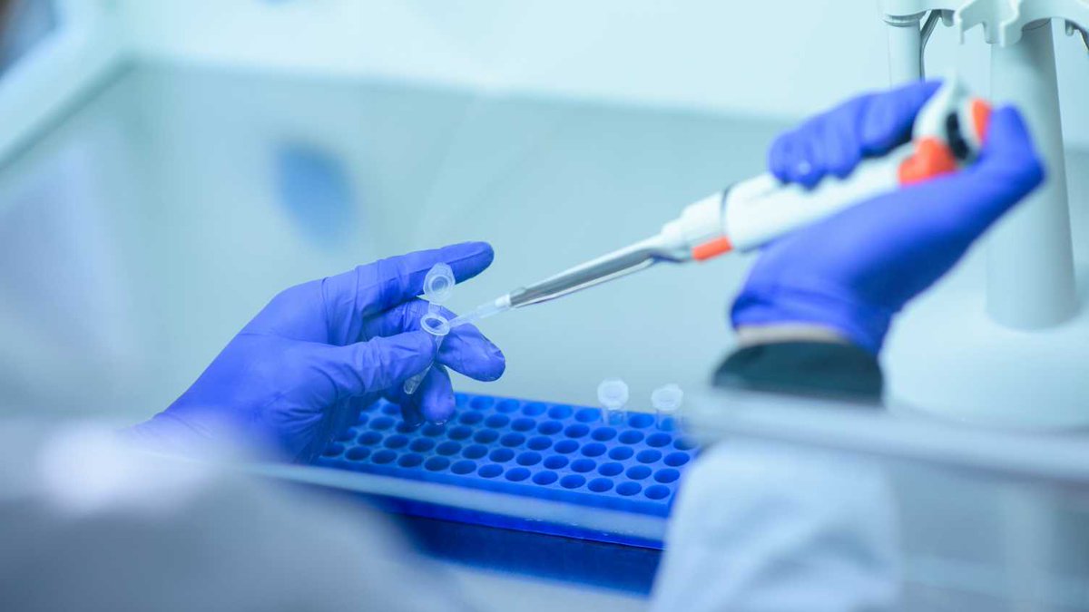 Science at Sheffield (@scienceshef) on Twitter photo Understanding the genetic roots of aggressive childhood cancer - Scientists have secured £1.5 million <a href="/CR_UK/">Cancer Research UK</a> to investigate the genetic secrets behind neuroblastoma - aiming to improve treatments for this aggressive childhood cancer. sheffield.ac.uk/biosciences/ne… <a href="/sheffielduni/">The University of Sheffield</a> Understanding the genetic roots of aggressive childhood cancer - Scientists have secured £1.5 million <a href="/CR_UK/">Cancer Research UK</a> to investigate the genetic secrets behind neuroblastoma - aiming to improve treatments for this aggressive childhood cancer. sheffield.ac.uk/biosciences/ne… <a href="/sheffielduni/">The University of Sheffield</a>