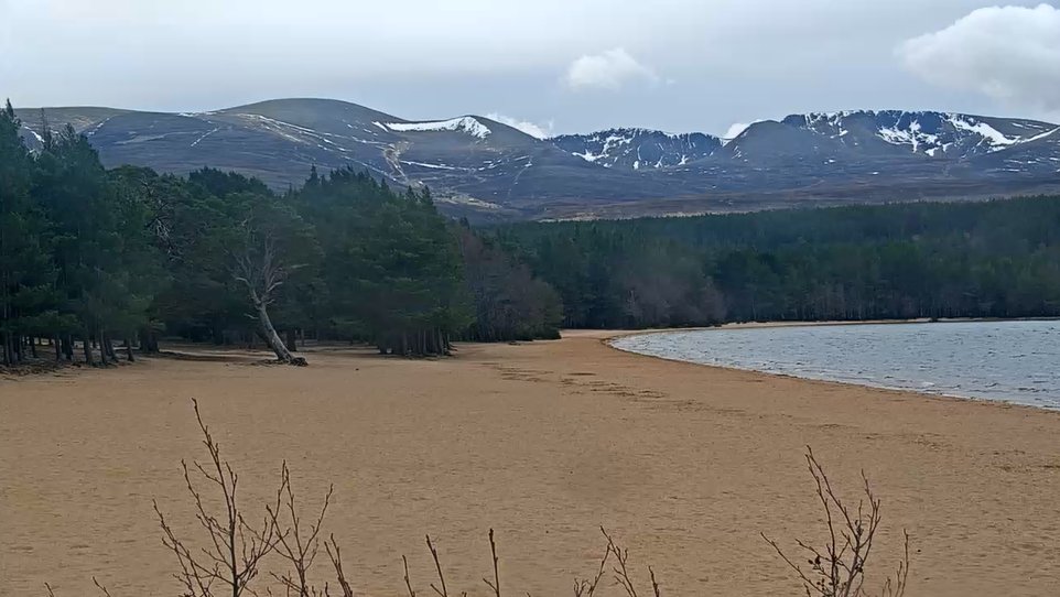 Iain Cameron tweet media