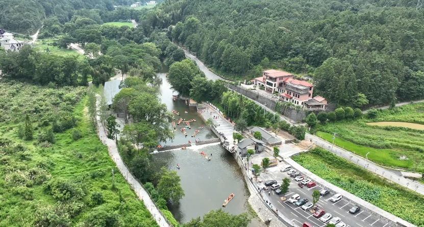🌲🌳☘️🌺Pursuing Green Development and Reaping Economic Benefits——The 20th Anniversary of the "Two Mountains" Theory #TwoSessions