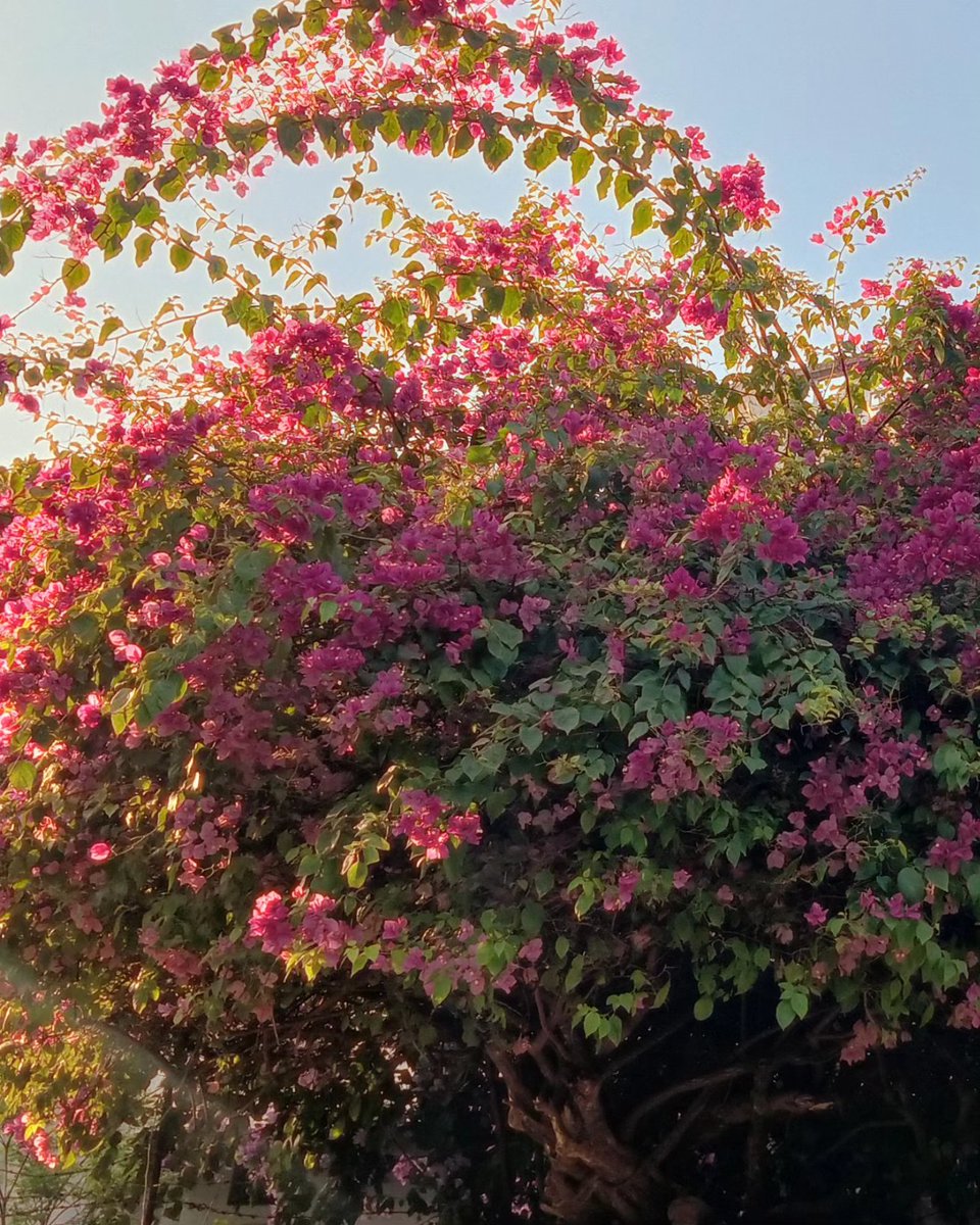 Hasna aata hai mujhe,
mujhse gham ki baat nahi hoti, 

  Meri baaton mein mazaak hota hai,
par meri har baat mazaak nahi hoti..

#🎀🍁🌷