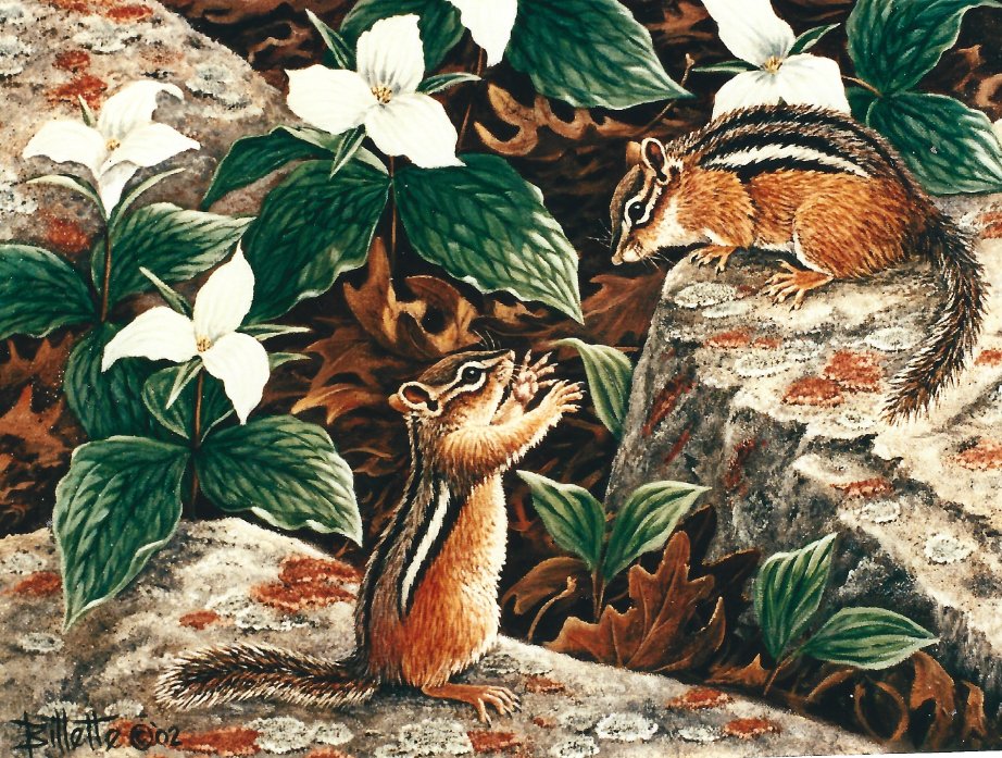Check out Original Oil Painting on Canvas Chipmunks, 12" x 16" by Gerald Billette wildlife ebay.com/itm/1164856359… #eBay via <a href="/eBay/">eBay</a>